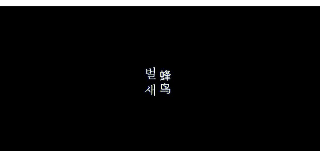 策驰影院最新热门电影在线观看 高清免费影视资源大全 2025年高分电影推荐片单