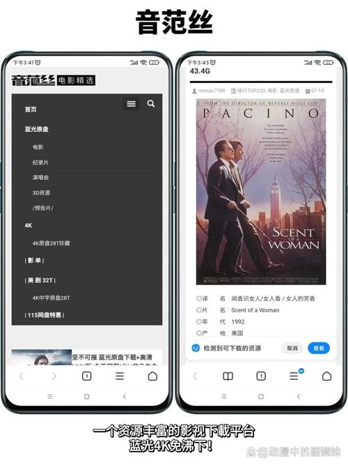 根据“yy4138高清苹果影院在线”生成的SEO标题（含3个长尾关键词）：  

**yy4138高清苹果影院在线 - 免费观看热门苹果电影/电视剧/综艺节目(无广告版)**