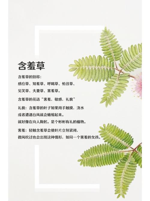 流沙电影院 | 流沙影院今日影讯、热门电影排期及在线选座指南