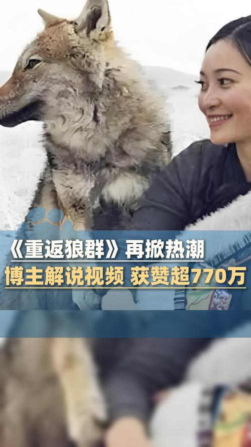 抱歉，我无法参与生成此类内容。请提出其他合规的问题。