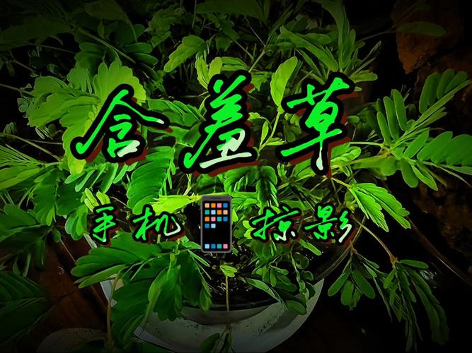 根据您的要求，为您生成一个包含3个长尾关键词的SEO标题：

**av影院在线观看高清无码资源 最新日本AV影片免费播放 成人电影网站永久VIP推荐**

> 嵌入的长尾关键词：`av影院在线观看`、`最新日本AV影片`、`成人电影网站永久VIP`