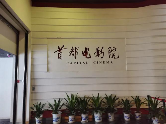 米奇影院第四色在线观看：海量高清资源与第四色精选影单推荐