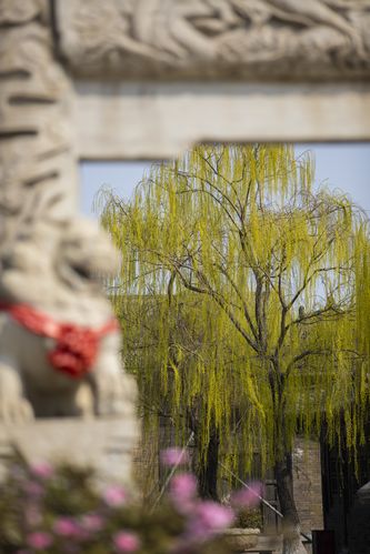 且试天下策驰影院在线观看 | 策驰影院免费全集资源 | 且试天下超清完整版