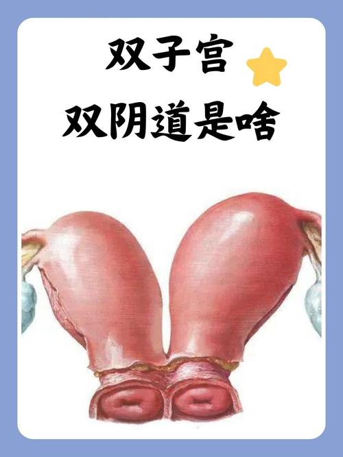 双性人宫交的生理机制与心理适应：深入解析宫腔交合技巧、双性健康护理及亲密关系构建