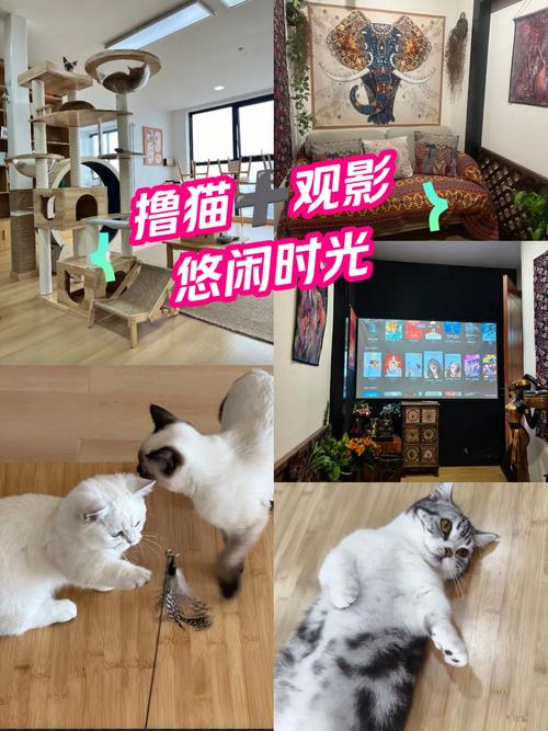 久久色悠悠资源分享平台：在线观看高清影视，畅享悠悠色无忧追剧体验