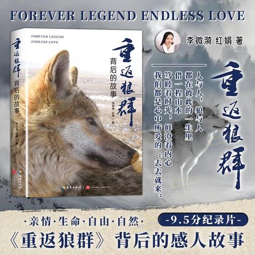 沈阳万象城电影院｜看IMAX大片首选地｜最新电影排期与优惠购票攻略