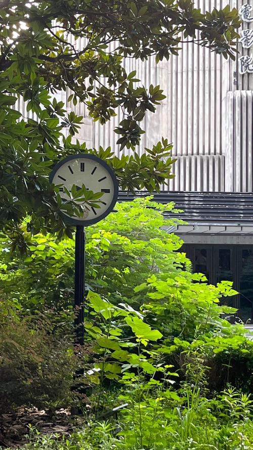 东方红影院最新电影排期查询 | 东方红影院今日影讯 | 东方红影院地址电话